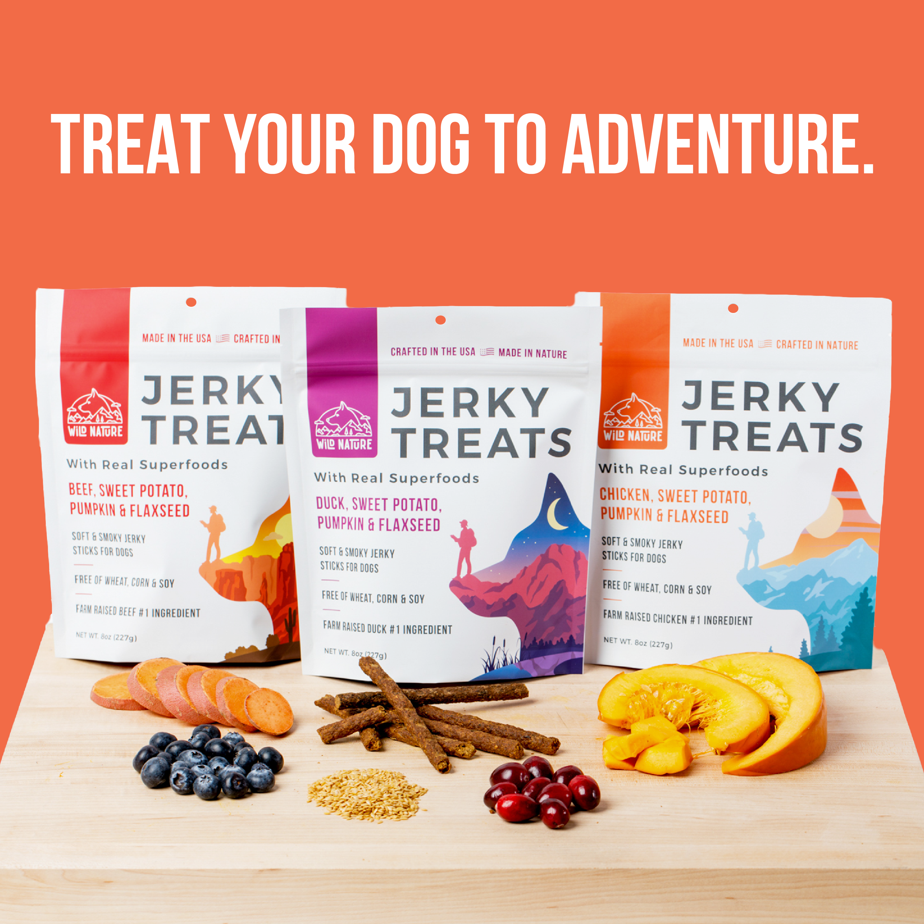 Wild Ranger Chicken & Superfoods Jerky Dog Treats (8oz) I8
