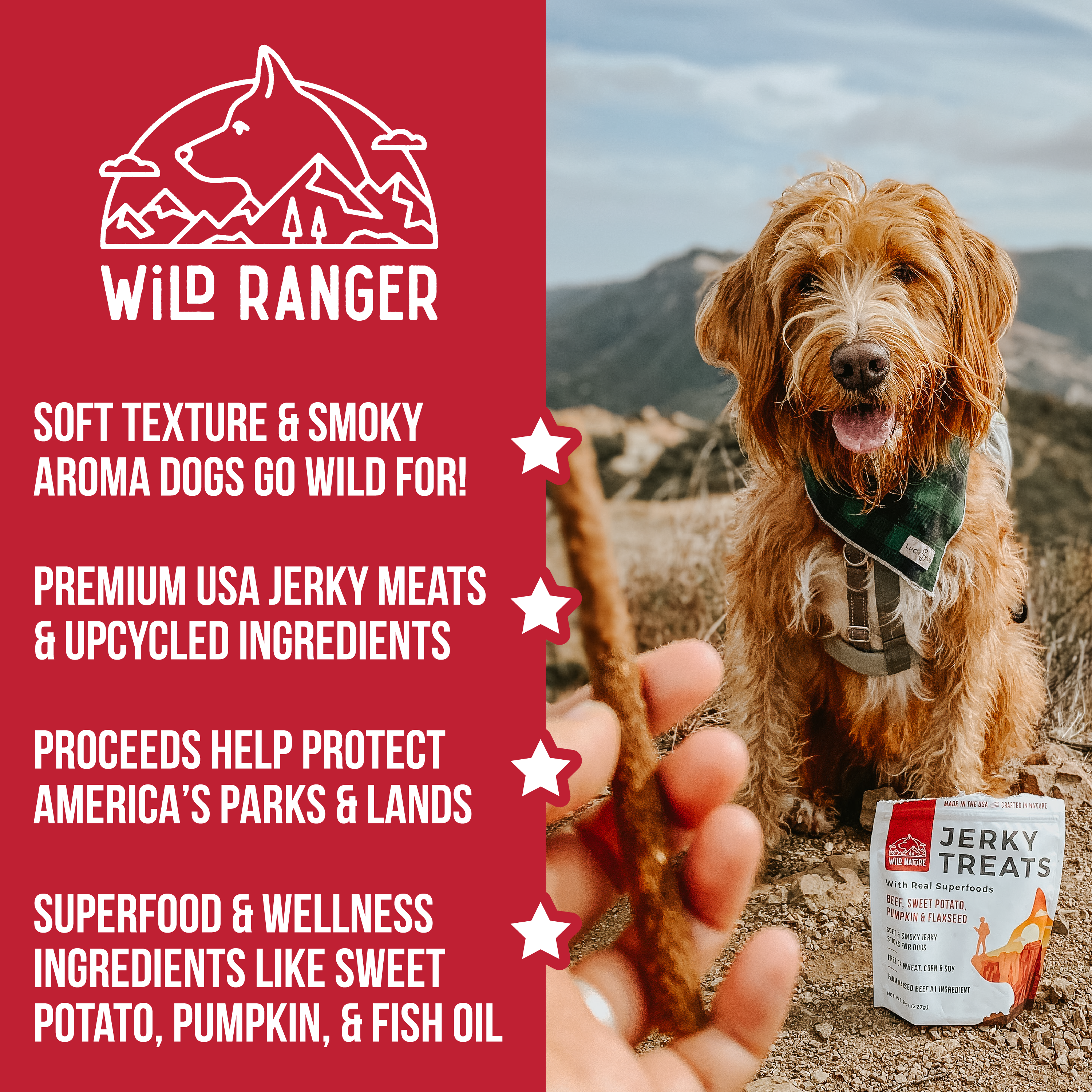 Wild Ranger Beef & Superfoods Jerky Dog Treats (8oz) C0