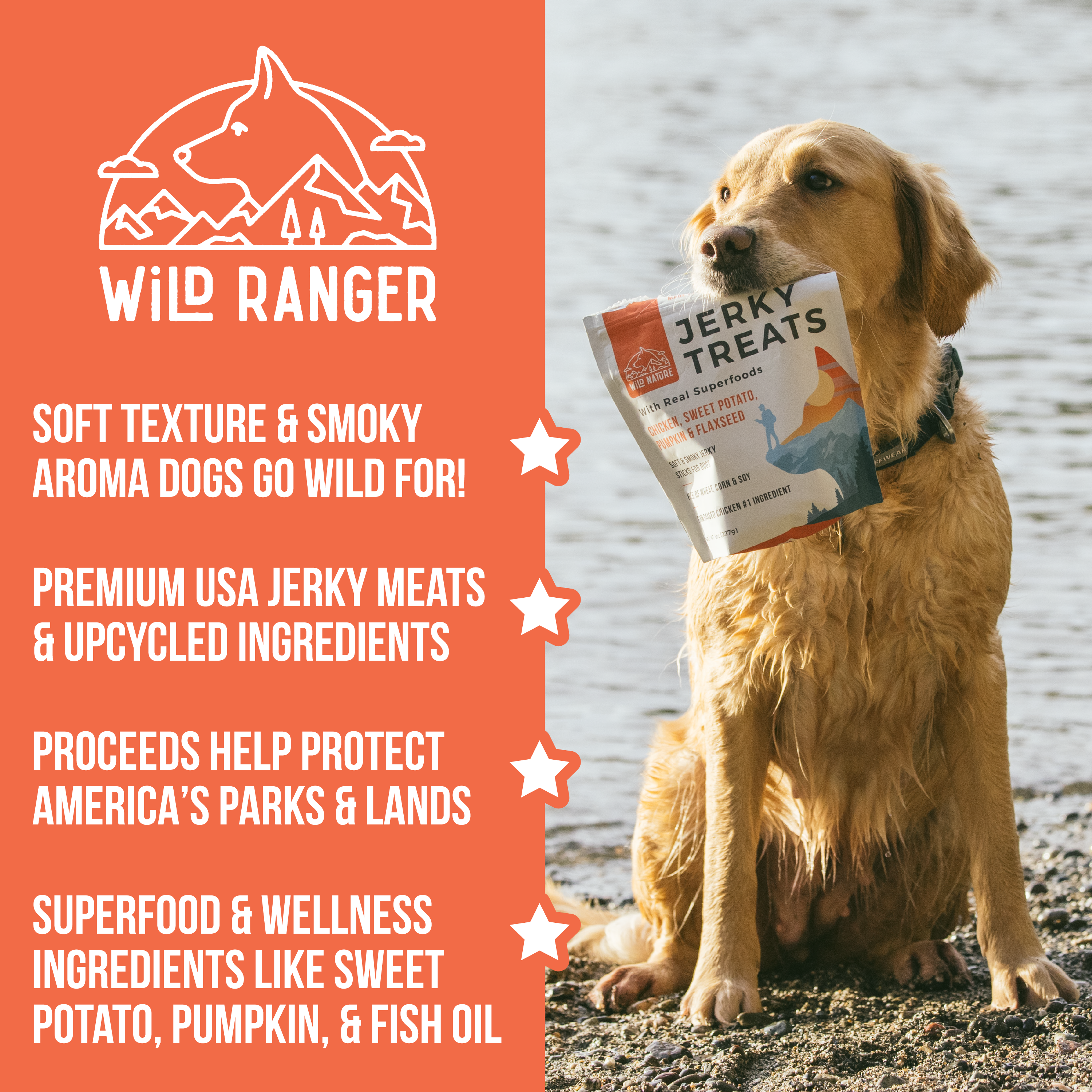 Wild Ranger Chicken & Superfoods Jerky Dog Treats (8oz) I8