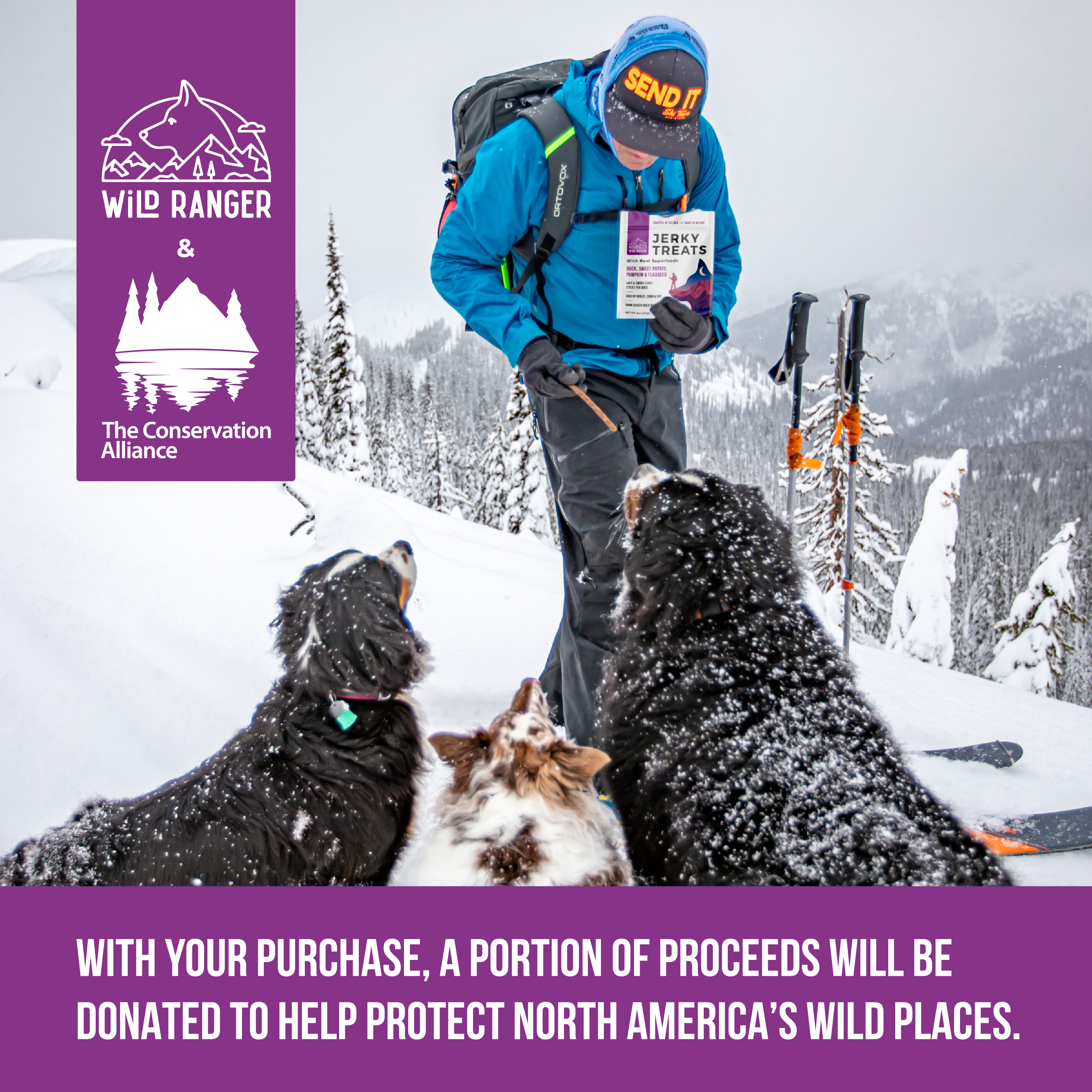 Wild Ranger Duck & Superfoods Jerky Dog Treats (8oz) Y6