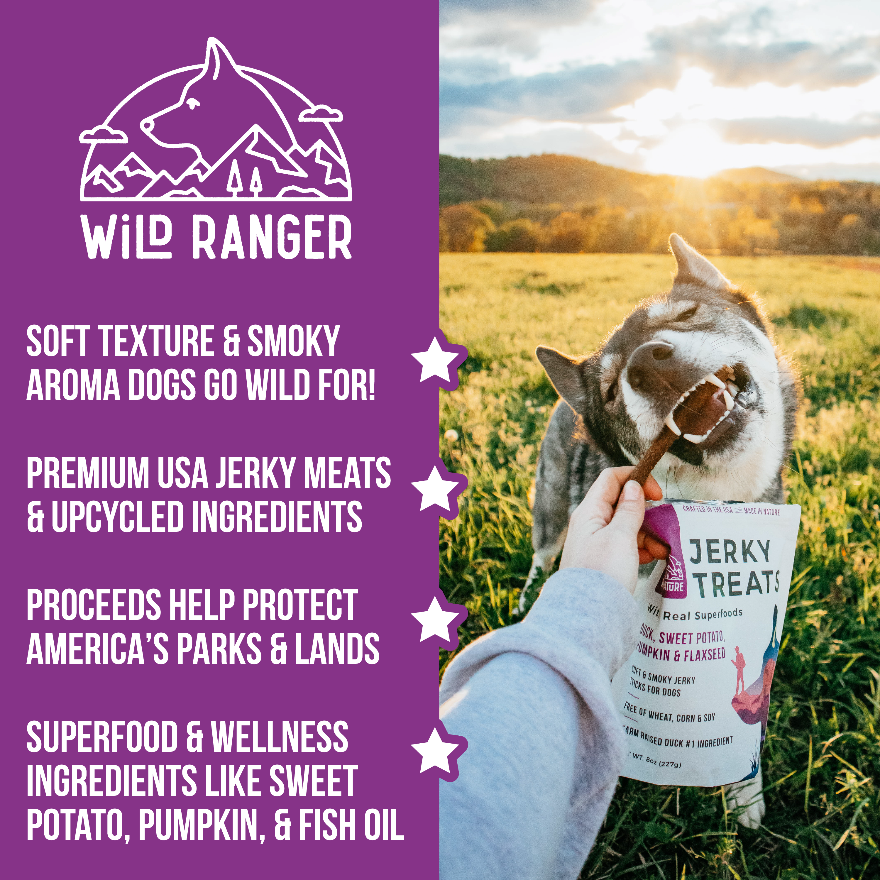 Wild Ranger Jerky Dog Treats Variety 3-Pack V5